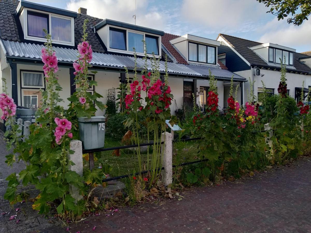 B&B Txl De Cocksdorp  Exteriör bild